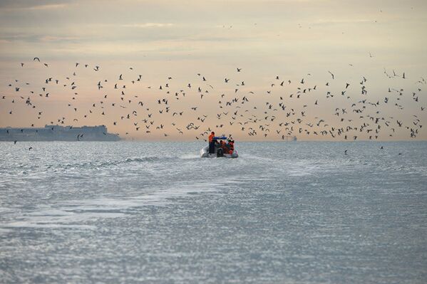 Los mejores trabajos del Concurso Internacional de Fotoperiodismo Andréi Stenin - Sputnik Mundo