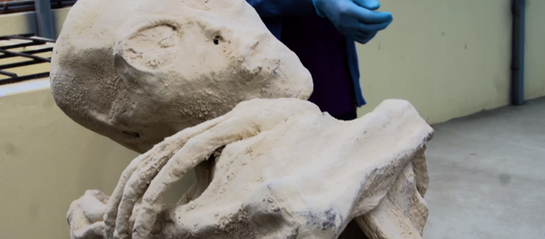 Momia extraterrestre encontrada en Perú - Sputnik Mundo