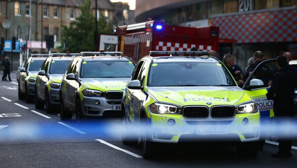 Los coches de la Policía del Reino Unido (imagen referencial) - Sputnik Mundo
