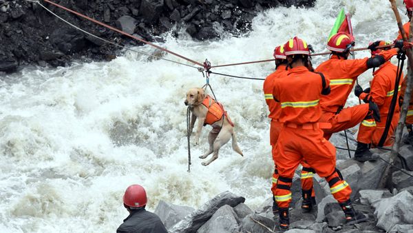 Evacuación en China Evacuación en China - Sputnik Mundo