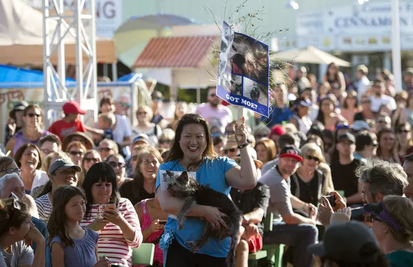 Coronan en EEUU al perro más feo del mundo Coronan en EEUU al perro más feo del mundo - Sputnik Mundo