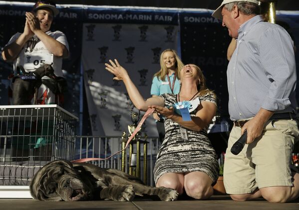 Coronan en EEUU al perro más feo del mundo - Sputnik Mundo
