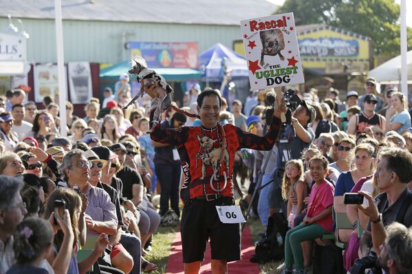 Coronan en EEUU al perro más feo del mundo - Sputnik Mundo