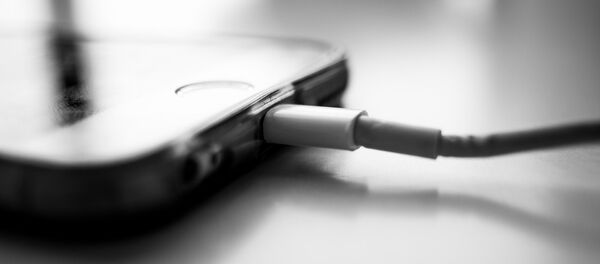 Cargador - Sputnik Mundo