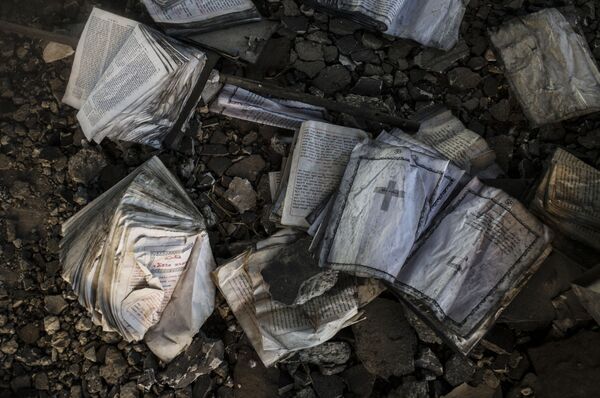 La guerra en Siria, vista por los corresponsales de Sputnik - Sputnik Mundo