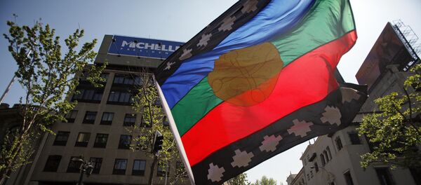 Bandera de mapuches - Sputnik Mundo
