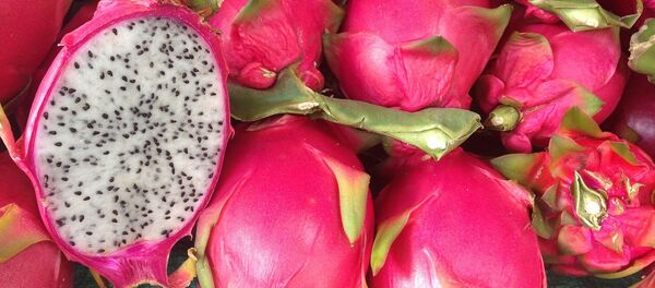 Pitahaya (imagen referencial) - Sputnik Mundo