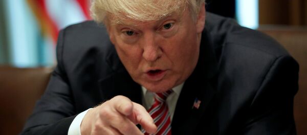 Donald Trump, presidente de EEUU - Sputnik Mundo