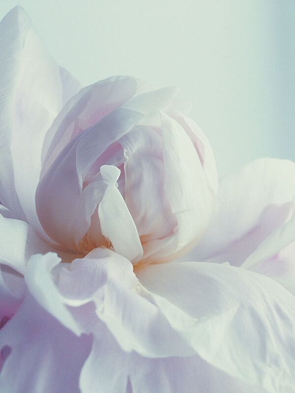 Las imágenes más espectaculares del concurso iPhone Photography Awards 2017 - Sputnik Mundo