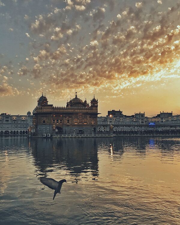 Las imágenes más espectaculares del concurso iPhone Photography Awards 2017 - Sputnik Mundo