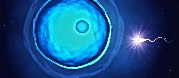 Fecundación - Sputnik Mundo