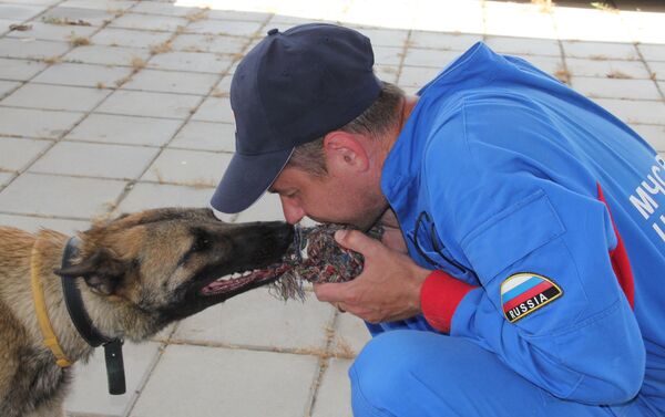 Alpa, la pastor belga malinois del Centro Humanitario Ruso-Serbio Alpa, la pastor belga malinois del Centro Humanitario Ruso-Serbio - Sputnik Mundo
