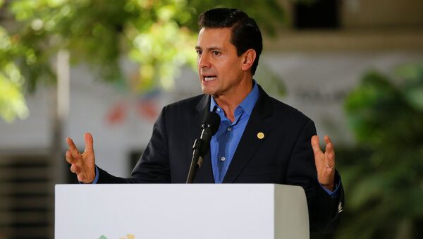 Enrique Peña Nieto, presidente de México - Sputnik Mundo