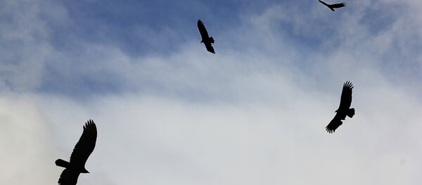 Cielo - Sputnik Mundo