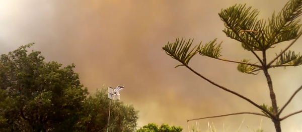 Incendio en Sicilia Incendio en Sicilia - Sputnik Mundo