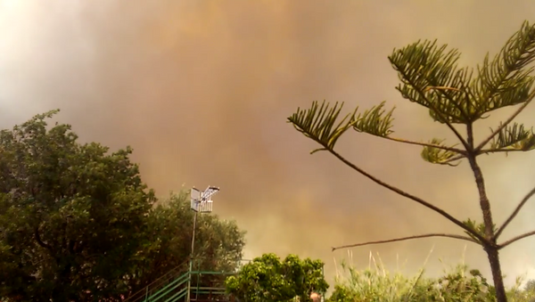 Incendio en Sicilia - Sputnik Mundo