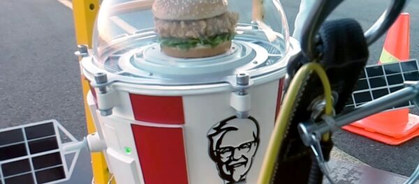 Hamburguesa de KFC vuela hacia la estratosfera - Sputnik Mundo