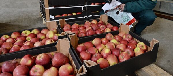 Троицкий таможенный пост в Челябинской области - Sputnik Mundo