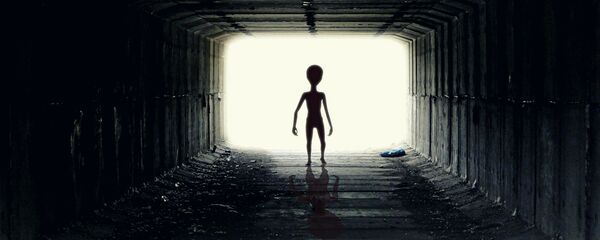 Un extraterrestre (imágen referencial) Un extraterrestre (imágen referencial) - Sputnik Mundo