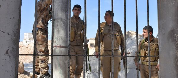 Los combatientes kurdos en Afrin, Siria - Sputnik Mundo