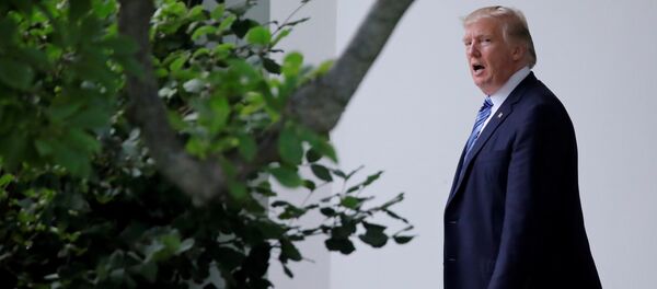 Donald Trump, presidente de EEUU Donald Trump, presidente de EEUU - Sputnik Mundo
