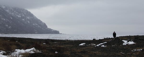 Alaska, EEUU (imagen referencial) - Sputnik Mundo