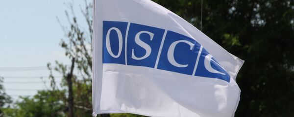 La bandera de la OSCE en Donbás - Sputnik Mundo