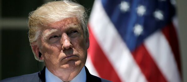 Donald Trump, presidente de EEUU - Sputnik Mundo