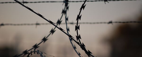 Alambre de púas (imagen referencial) - Sputnik Mundo