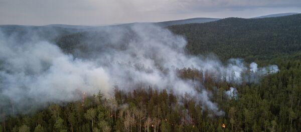 Incendios forestales en Rusia (archivo) Incendios forestales en Rusia (archivo) - Sputnik Mundo