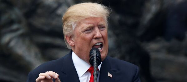 Donald Trump, presidente de EEUU Donald Trump, presidente de EEUU - Sputnik Mundo