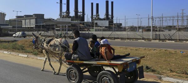 La planta Nusseirat en la Franja de Gaza. - Sputnik Mundo