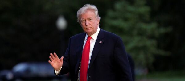 Donald Trump, presidente de EEUU - Sputnik Mundo