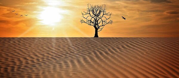 Sequía - Sputnik Mundo