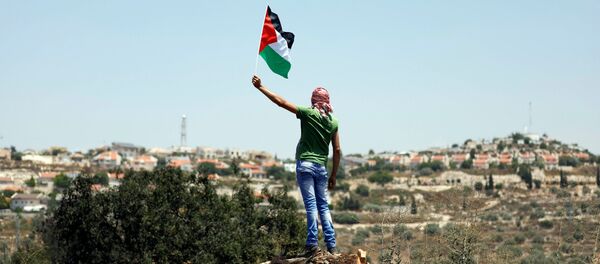 Un protestante con la bandera de Palestina Un protestante con la bandera de Palestina - Sputnik Mundo
