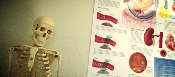 Órganos internos - Sputnik Mundo