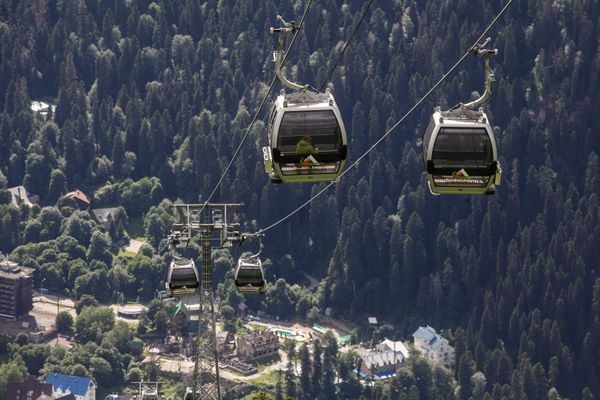 Dombái: una reserva única en plenas montañas - Sputnik Mundo