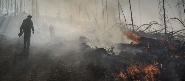 Incendios forestales en el Lejano Oriente ruso - Sputnik Mundo
