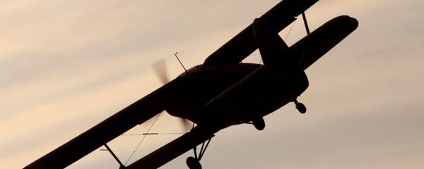 El avión An-2 (archivo) - Sputnik Mundo