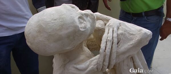 Momia 'extraterrestre' de Perú Momia 'extraterrestre' de Perú - Sputnik Mundo
