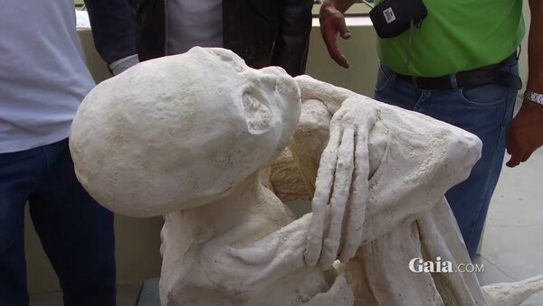 Momia 'extraterrestre' de Perú - Sputnik Mundo