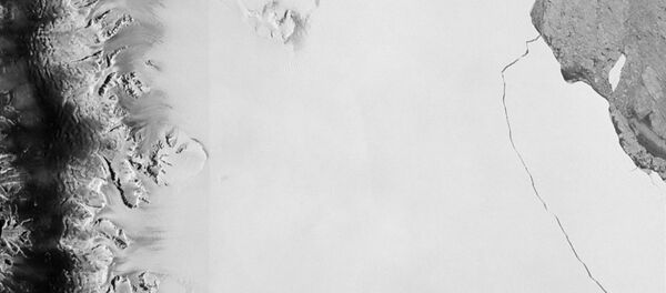 Vista satelital del iceberg desprendido en La Antártida - Sputnik Mundo