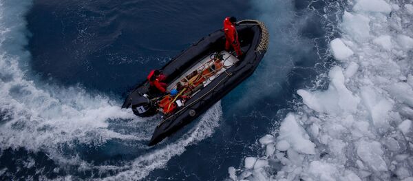 Cómo la Antártida disminuye peligrosamente de tamaño Cómo la Antártida disminuye peligrosamente de tamaño - Sputnik Mundo