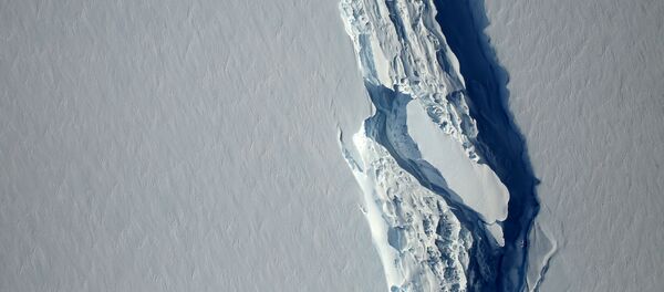 Un bloque de hielo se ha desgajado del segmento Larsen C en la península antártica (la vista desde el satélite) - Sputnik Mundo