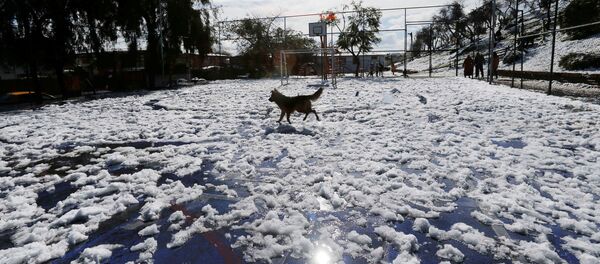 Consequencias de las nevadas en Santiago de Chile - Sputnik Mundo