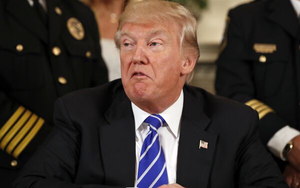 Donald Trump, presidente de EEUU Donald Trump, presidente de EEUU - Sputnik Mundo