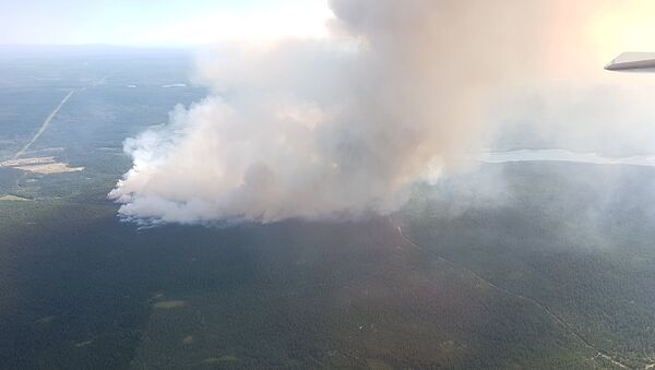 Incendios forestales en la Columbia Británica, Canadá - Sputnik Mundo