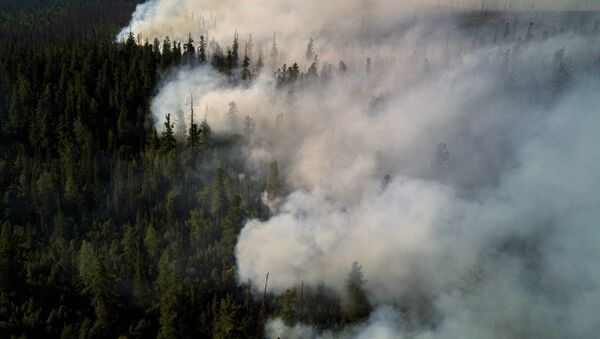 Incendios forestales (archivo) - Sputnik Mundo