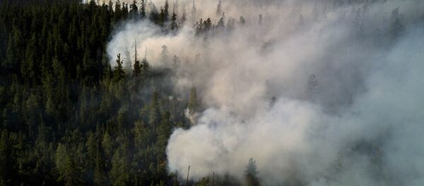 Incendios forestales (archivo) - Sputnik Mundo
