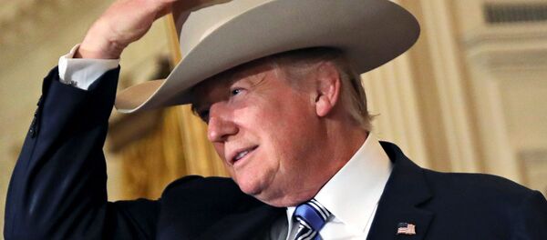 Donald Trump, presidente de EEUU - Sputnik Mundo